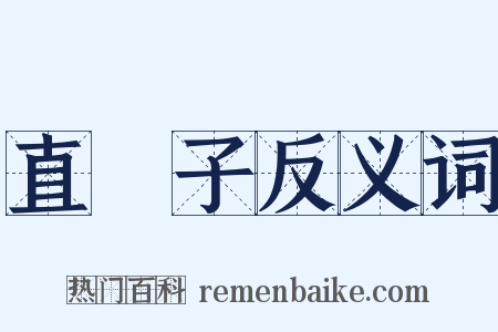 直腸子反义词是什么意思的图片